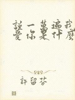 说一万遍我爱你爱你是什么歌