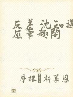 反差 沈知遇晏应笔趣阁