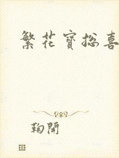 繁花宝总喜欢谁封面