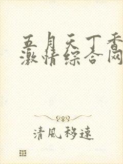 五月天丁香婷婷激情综合网