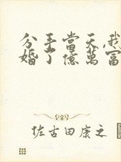 分手当天,我闪婚了亿万富豪短剧封面