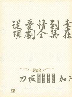从爱情到幸福电视剧全集在线观看