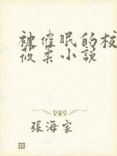 被催眠的校花高莜柔小说封面