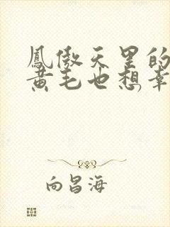 凤傲天里的反派黄毛也想幸福