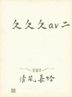 久久久av二区