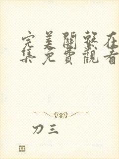 完美关系在线全集免费观看完整版封面