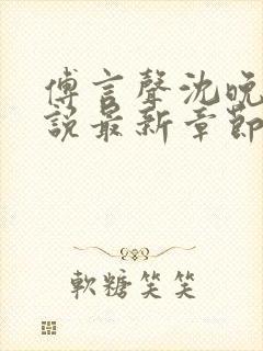 傅言声沈晚柔小说最新章节更新