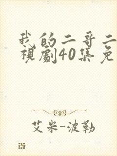 我的二哥二嫂电视剧40集免费观看