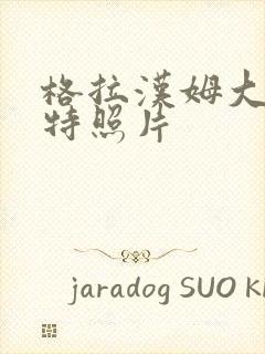 格拉汉姆大码模特照片