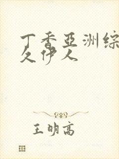 丁香亚洲综合久久伊人