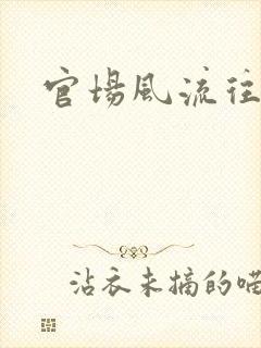 官场风流往事封面