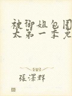 被御姐包围的正太第一季免费播放全集