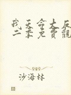 我天命大反派第二季免费观看