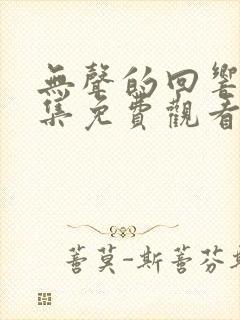 无声的回响16集免费观看