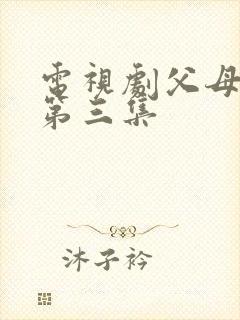 电视剧父母爱情第三集