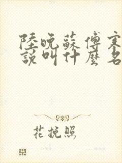 陆晚苏傅寒舟小说叫什么名