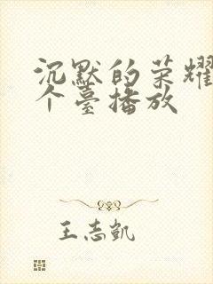 沉默的荣耀在哪个台播放