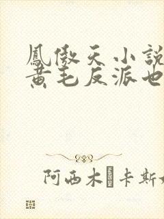 凤傲天小说里的黄毛反派也想幸福第九卷