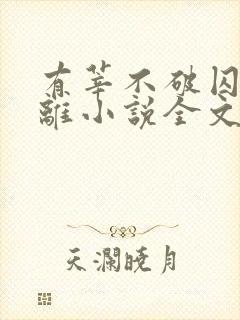 有莘不破囚禁江离小说全文免费阅读