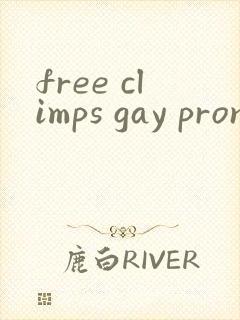 free climps gay pron@封面