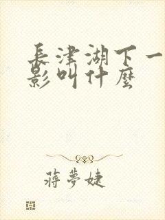 长津湖下一部电影叫什么封面