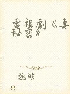 电视剧《妻子的秘密》