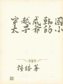 穿越成韩国财阀太子爷的小说