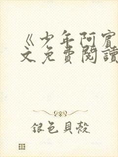 《少年阿宾》全文免费阅读