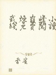 武炼巅峰小说在线免费阅读封面