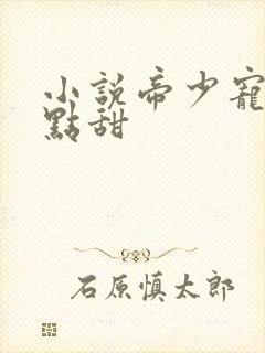 小说帝少宠妻有点甜