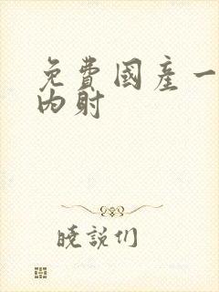 免费国产一级片内射