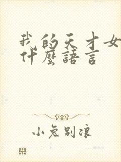 我的天才女友是什么语言封面