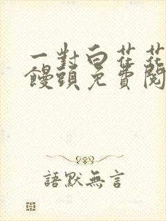 一对白花花的大馒头免费阅读