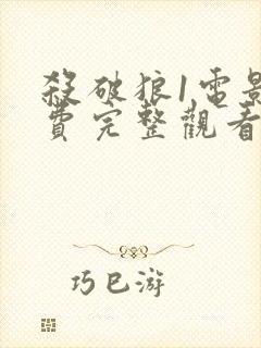 杀破狼1电影免费完整观看国语封面