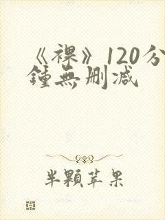 《裸》120分钟无删减