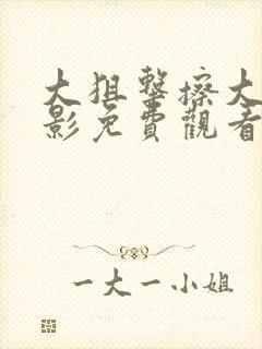 大狙击擦大擂电影免费观看封面