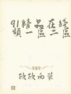 91精品在线视频一区二区