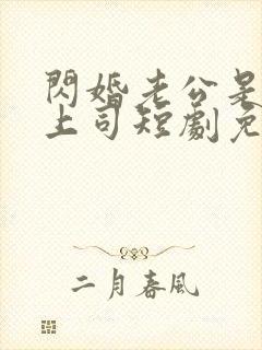 闪婚老公是顶头上司短剧免费看封面