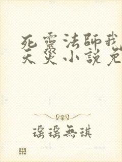 死灵法师我即是天灾小说免费阅读