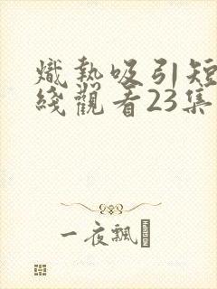 炽热吸引短剧在线观看23集