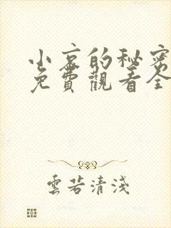 小哀的秘密动漫免费观看全集封面