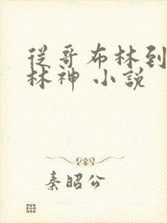 从哥布林到哥布林神 小说封面