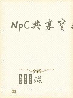 NpC共享宝贝