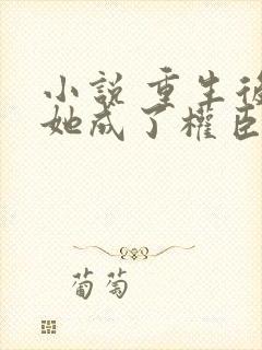 小说 重生后,她成了权臣黑月光