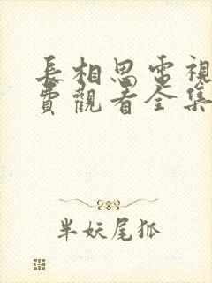 长相思电视剧免费观看全集在线播放封面