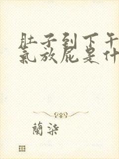 肚子到下午就胀气放屁是什么原因封面