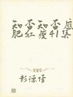 知否知否应是绿肥红瘦41集