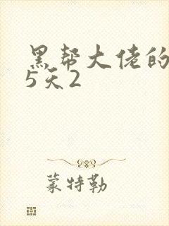 黑帮大佬的365天2