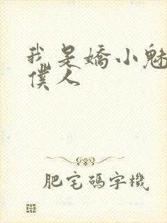 我是娇小魅魔的仆人封面