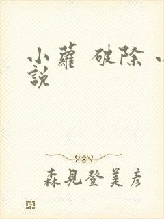 小萝 破除 小说